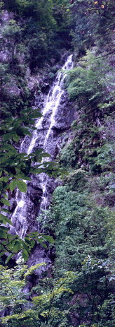 飛龍の滝（拡大写真）